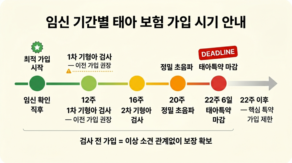 임신 주차별 타임라인