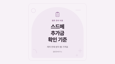 스드메 추가금 확인 기준 대표 이미지