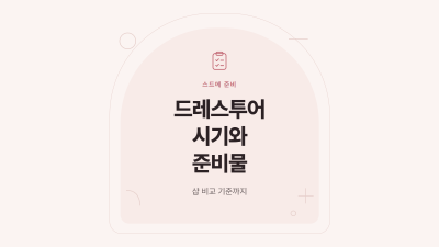 드레스투어 시기와 준비물, 샵 비교 기준 표지